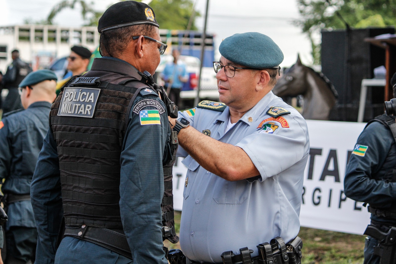 Curso de cavalaria: importância, cursos e mais!